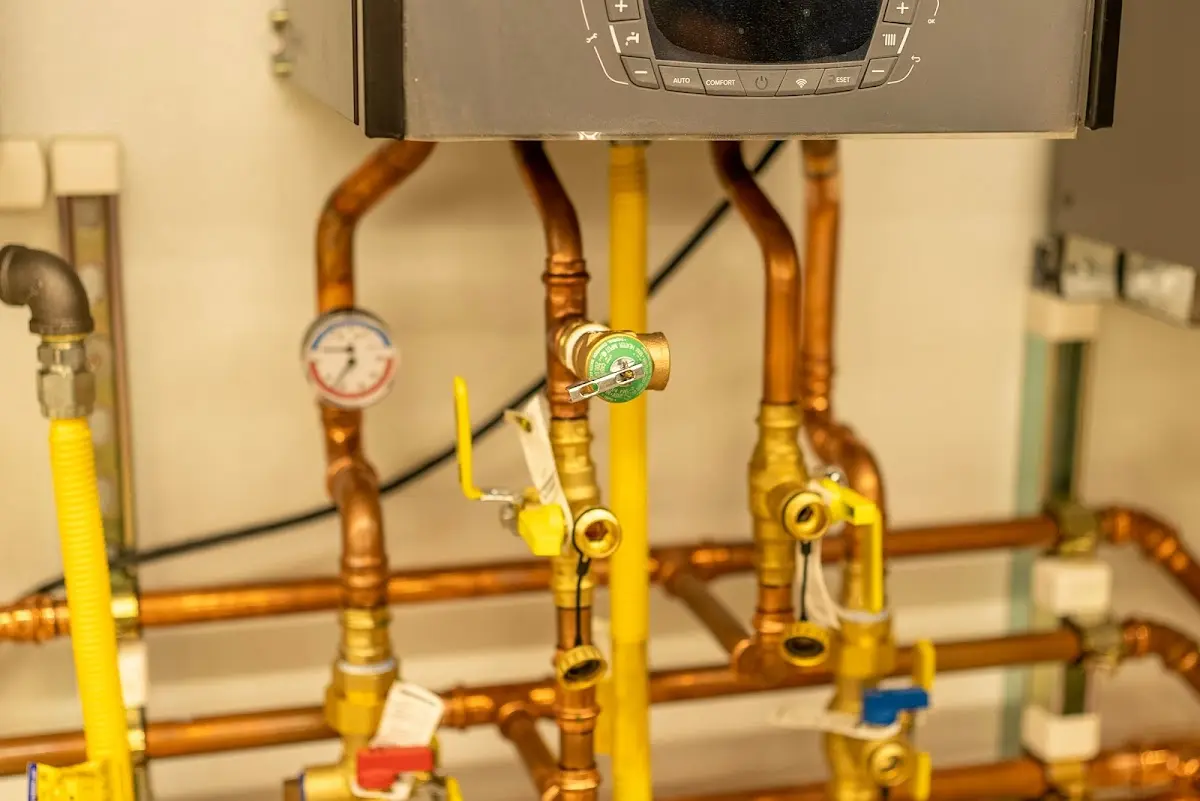 Licensed technician providing Sump Pump Repair for a homeowner in Roseville